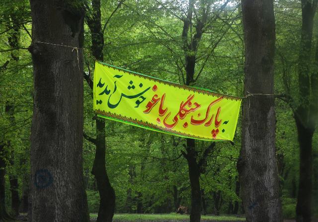13bedar120987124