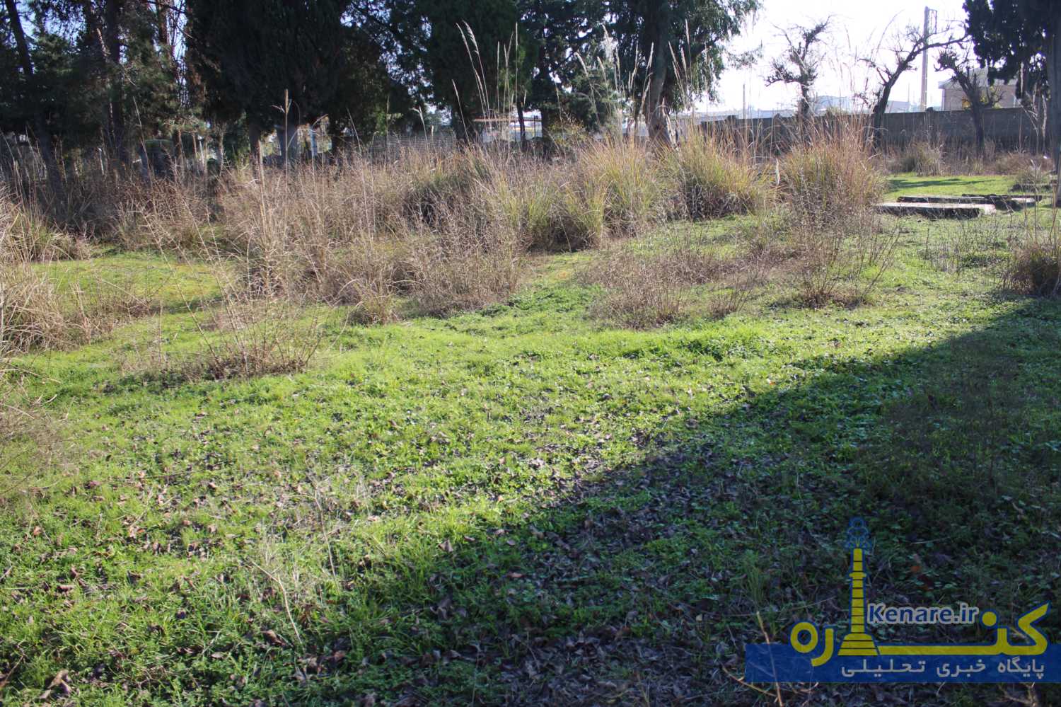 Bandargaz01012019 1