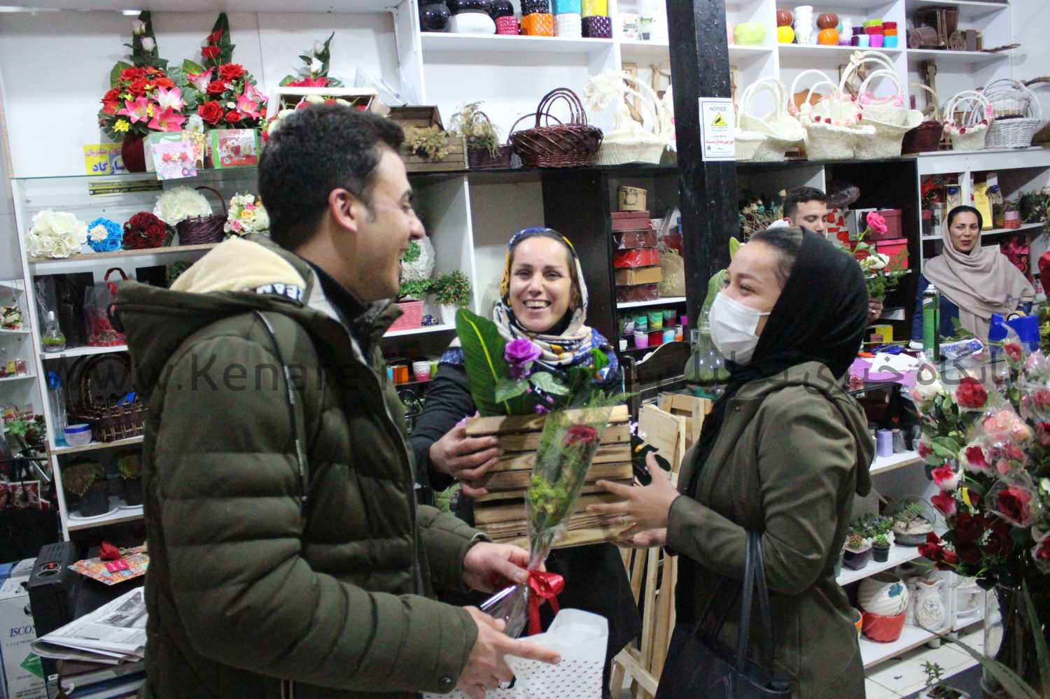 madar071297 1