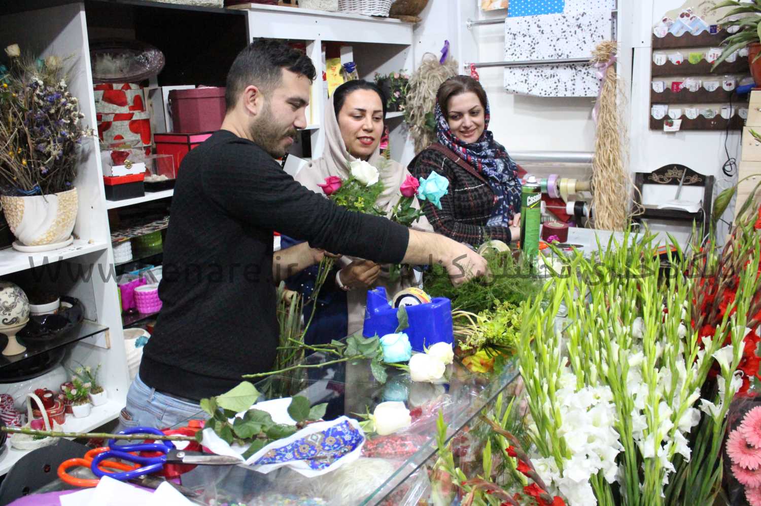 madar071297 1