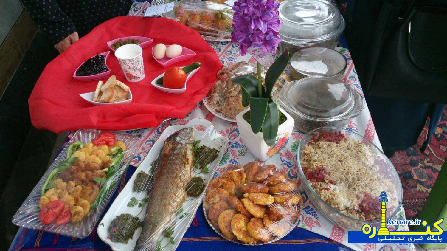qaza29867432867834 1