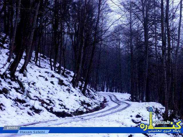 salehi8272341