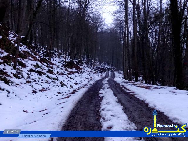 salehi8272341