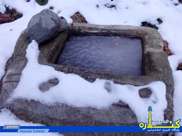 salehi8272341