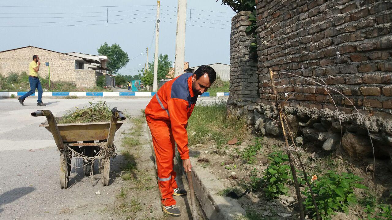 shahrdare karegar684984 1
