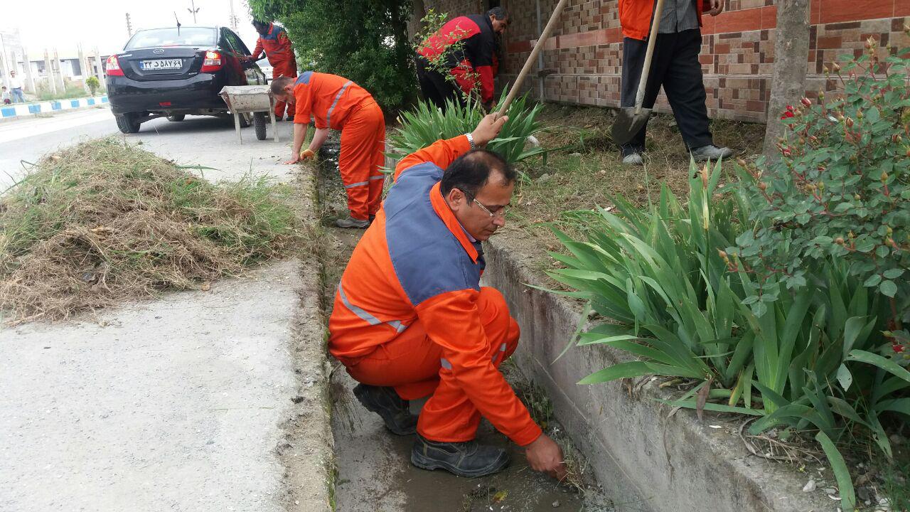 shahrdare karegar684984 1