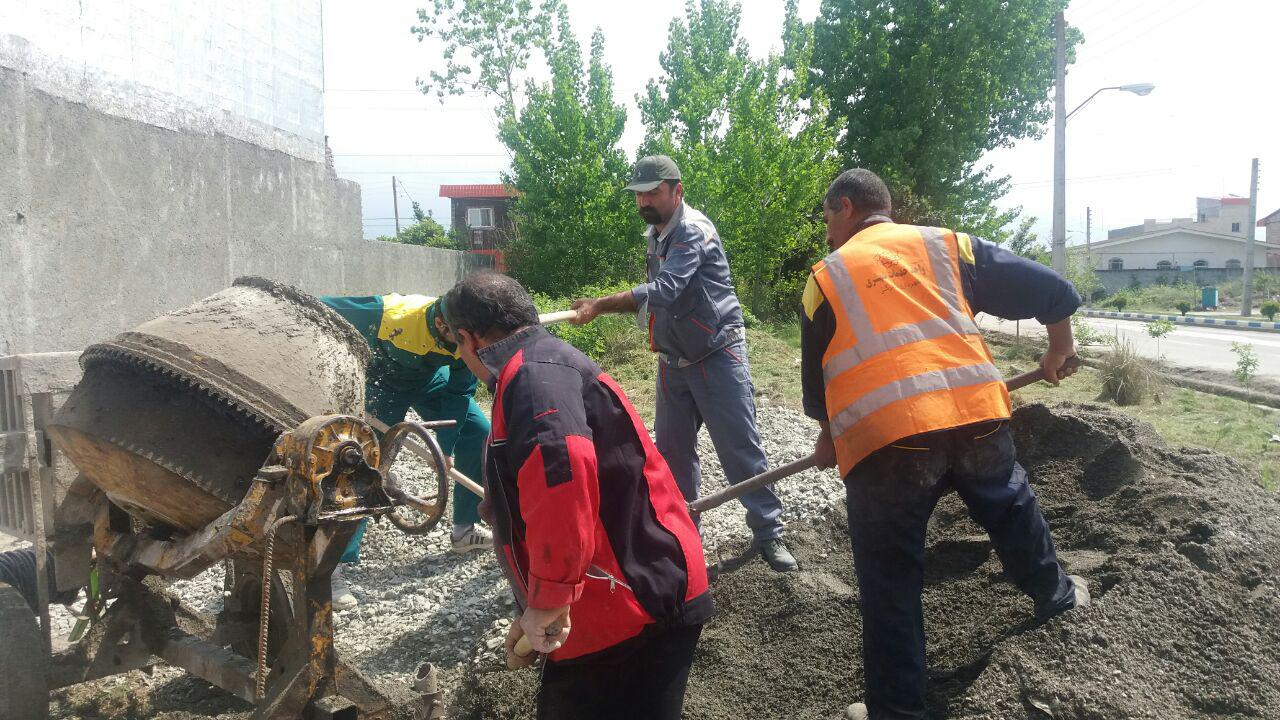 shahrdare karegar684984 1