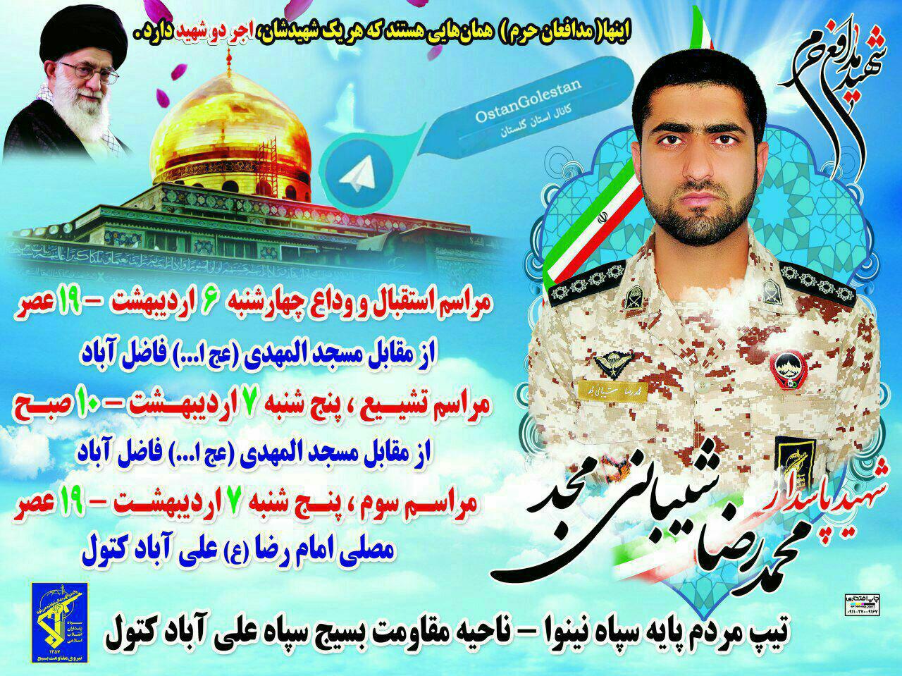 mohammadreza sheibani8191