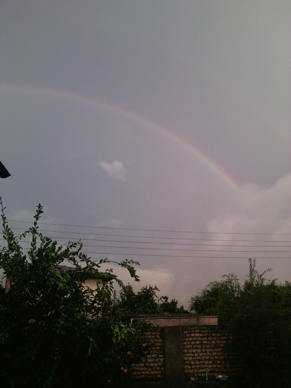 kenare134354831