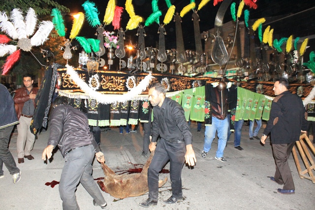moharam23841
