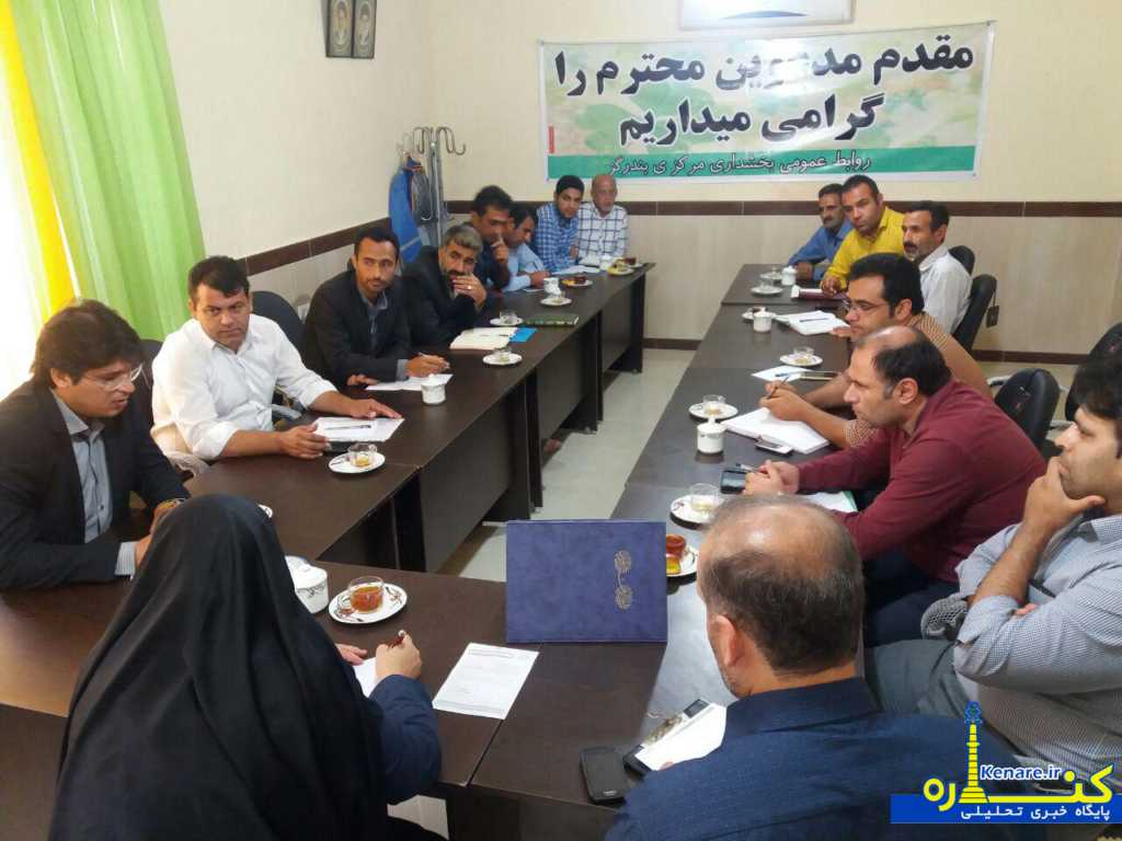 borhani875433 1